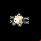 Pokémon #81