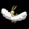 Pokémon #334