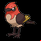Pokémon #662