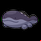 Pokémon #980