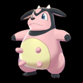 Pokémon #241 8G