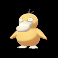Pokémon #54 8G