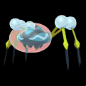 Pokémon #752 8G