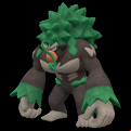 Pokémon #812 9G