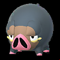 Pokémon #915 GO