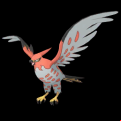 Pokémon #663 MX