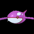 Pokémon #382 7G