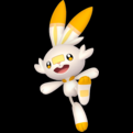 Pokémon #813 defaut