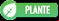 Type plante LG